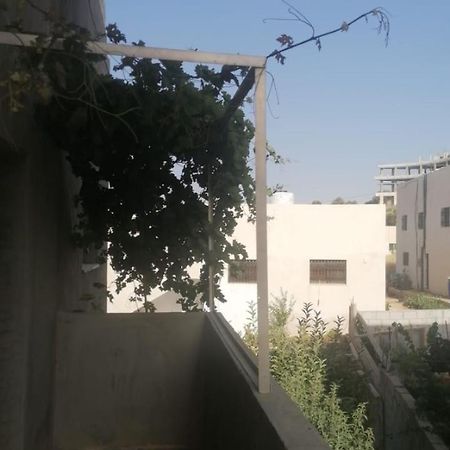Ibbinالاردن عجلون رأس منيف公寓 外观 照片