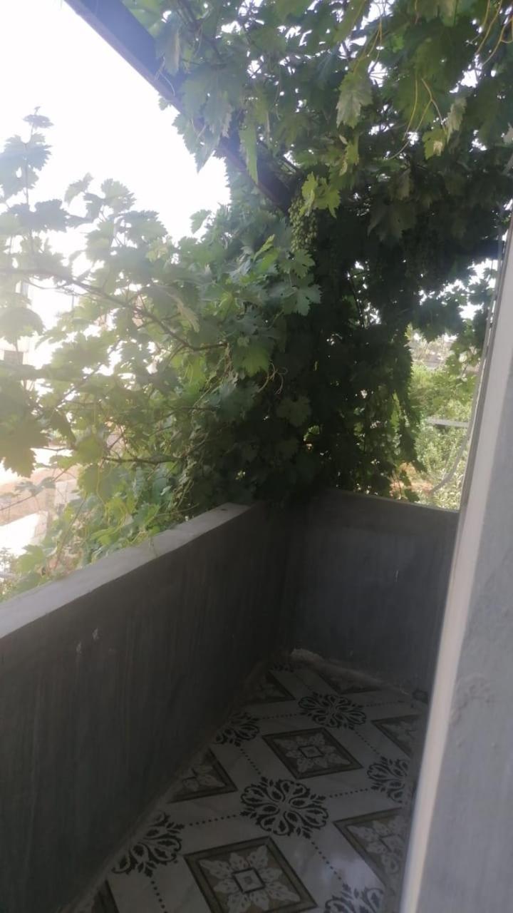 Ibbinالاردن عجلون رأس منيف公寓 外观 照片